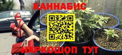 ECSTASY Кимры