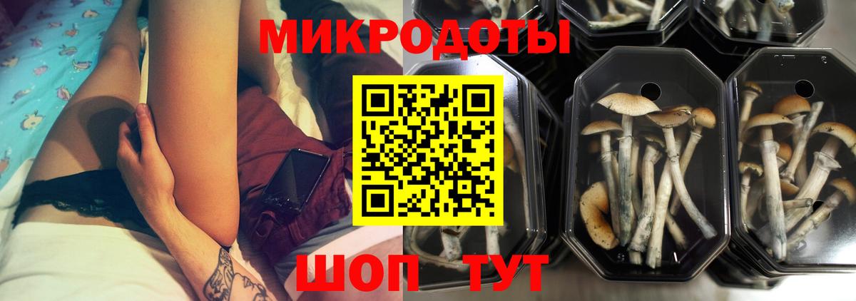 Галлюциногенные грибы Magic Shrooms Кисловодск